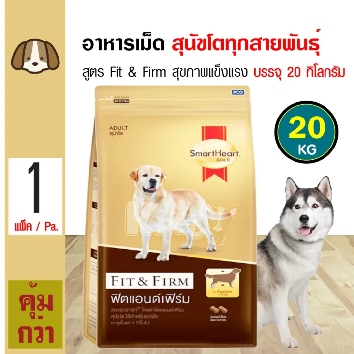 SmartHeart Gold Fit & Firm เป็นอาหารบำรุงขนของโกลเด้น รีทรีฟเวอร์