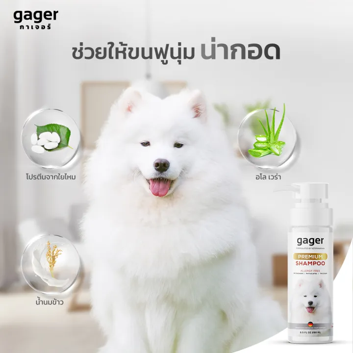 Gager (กาเจอร์) แชมพูอาบน้ำหมา