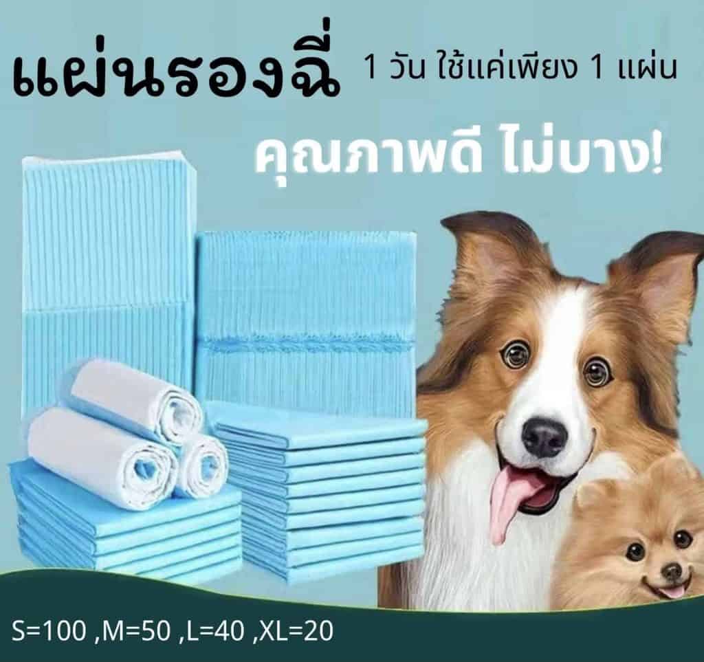 PIPI CARE แผ่นรองฉี่สำหรับสุนัข