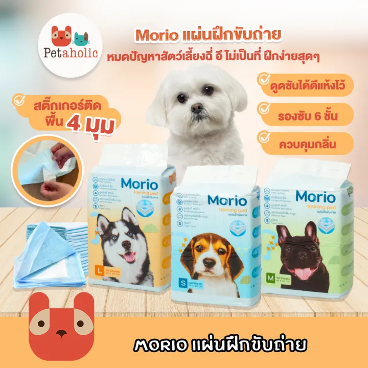 Morio แผ่นรองซับฉี่สุนัข