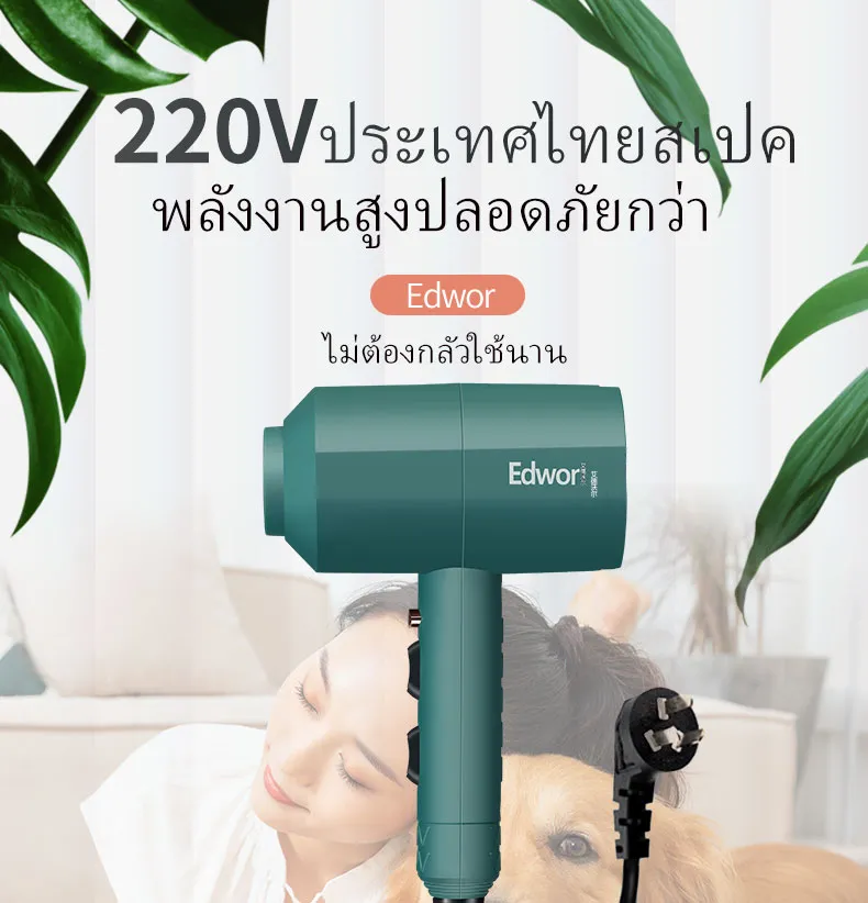 ไดร์เป่าขนสุนัข edwor