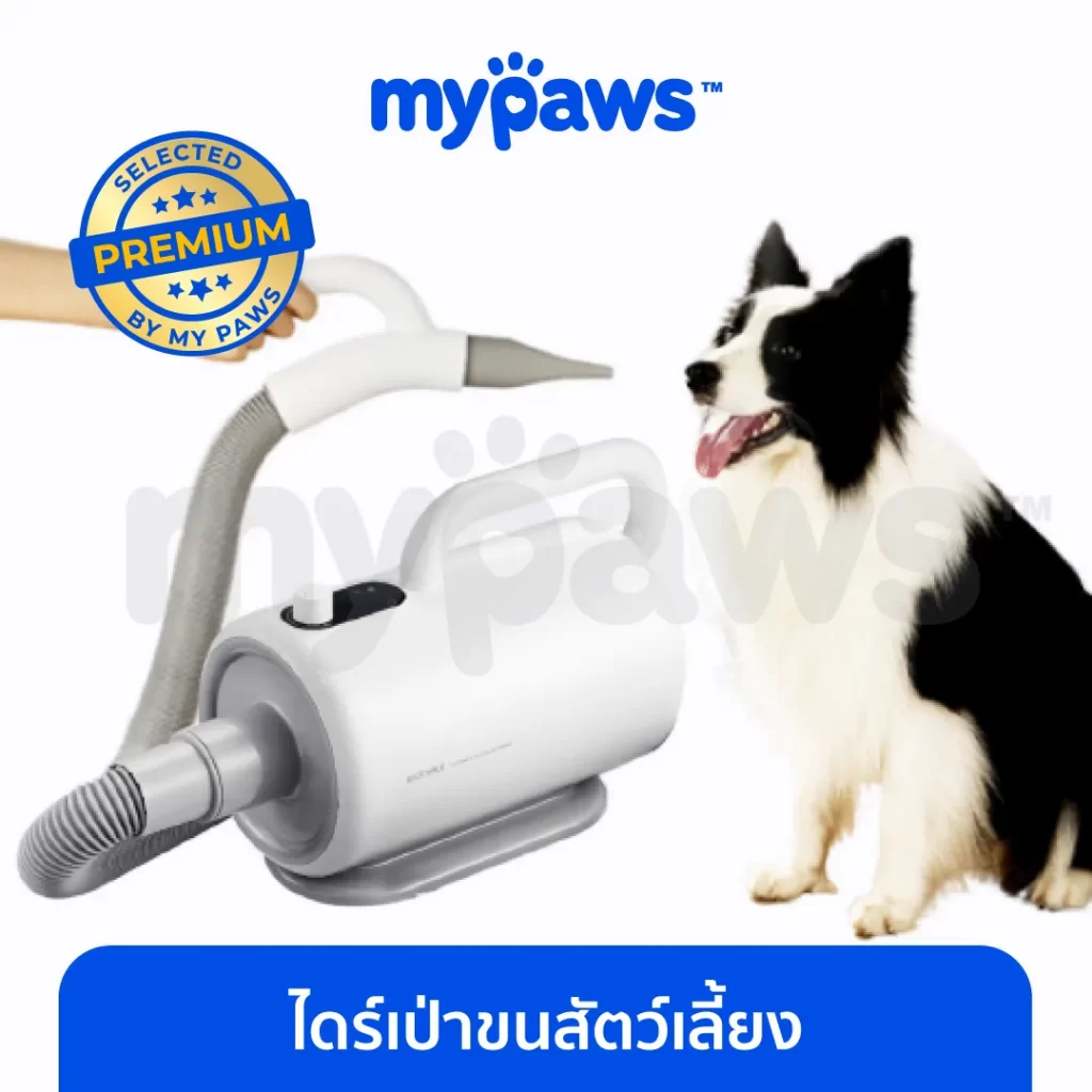 Smart Pet Blower ไดร์เป่าขนสุนัข